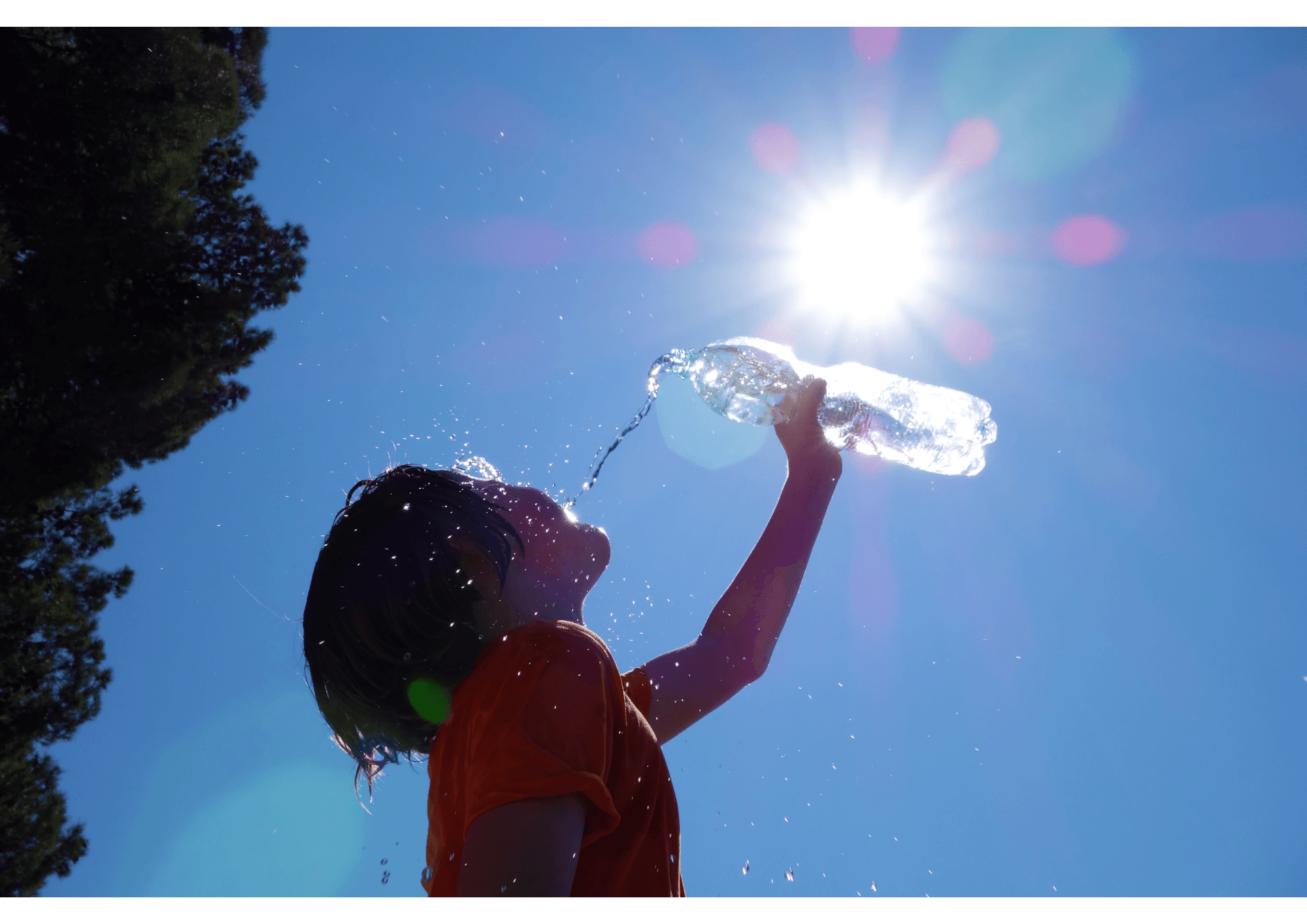 夏バテにおすすめの漢方薬3選